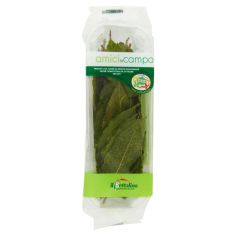 Alloro Amici In Campo It I^25g
