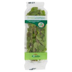 Amici In Campo Menta 25 G