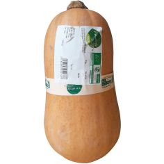Zucca Butternut Bio Italia Ii^
